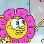 TheSpongebobGroup