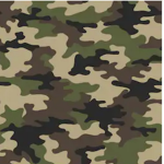Fam Bruh army