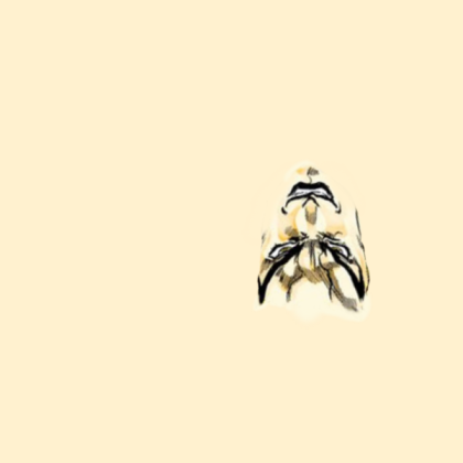 Manga DIO Face Roblox decal