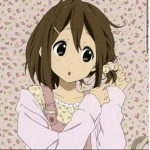かわいい子猫 !