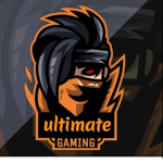 The ultimate ninja gamers