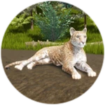 Gamepass Thumbnail