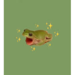 Frogs frogs frogs we love frogs