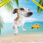 Кега симулятор [Лето]