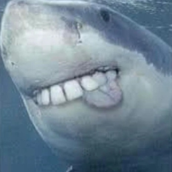 JAWS 2