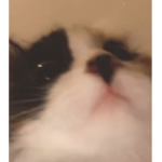 |$!at|