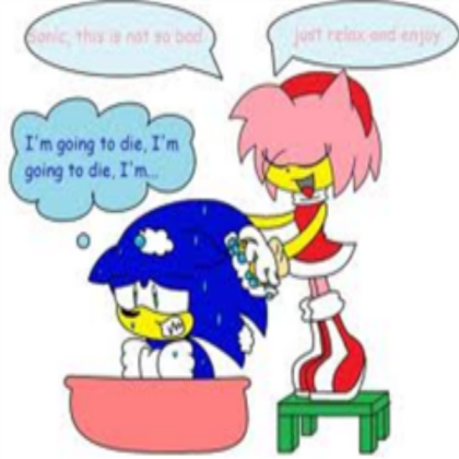 Funny Sonic Comic #7 Roblox decal