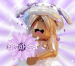 MetaPetal Events