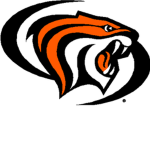 Tampa Bay Tigers