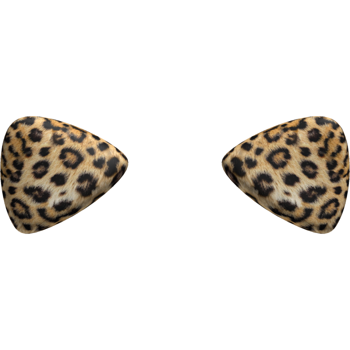 Leopard Kitty Cat Ears