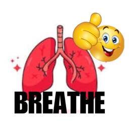 Breathing Simulator