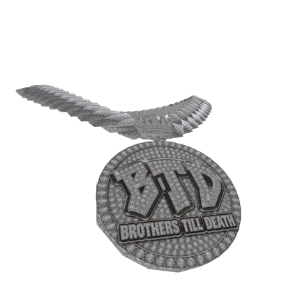 BTD GUYS NEW CHAIN !!!