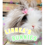 ~ Linnea's Bunnies ~