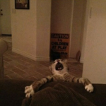 s''