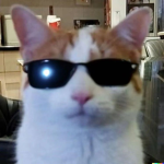 L1TTL3 MAN