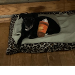CUTE DOGS 23