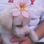 jordan’s apparel!