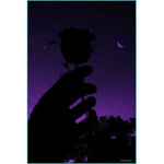Dark_development