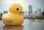 The Non Educated Rubber Duckies (N.E.R.D.)