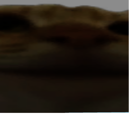 moone clik gaem 🤑🤑🤑🤑🤑