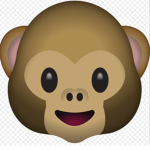 #TEAM MONKEY F0REVER