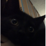 aari