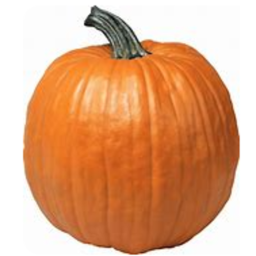 DA ULTIMATE PUMPKIN OBBY!1!!!!!