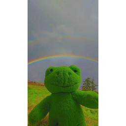froggys hangout bedroom