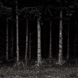 the forest (new scary game)