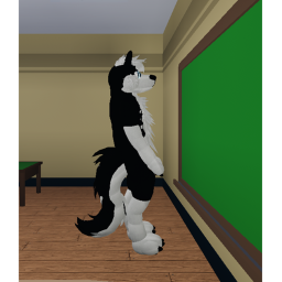 animal academy