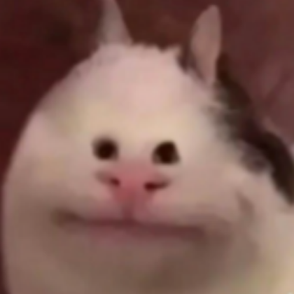 Funny Cat Roblox decal