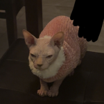 iluvmycatmia