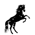 Calling all horse fans!