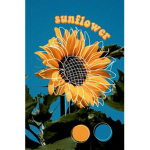 XXd_Sunnies_:3XXd