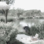 ⋆｡˚୨୧˚｡⋆