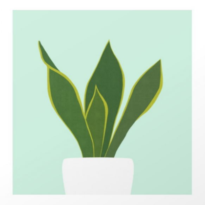 tropical plant cartoon Roblox decal