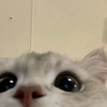 創作小隊