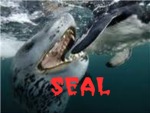 S.E.A.L (SEALS Eliminating All Life)