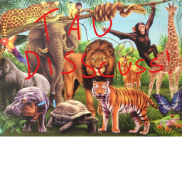 Team Animal discussion