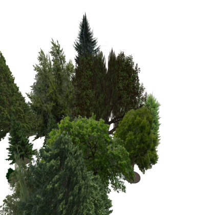 tree