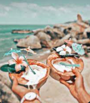 -Tropical luvs!-