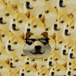 The Doge Obby