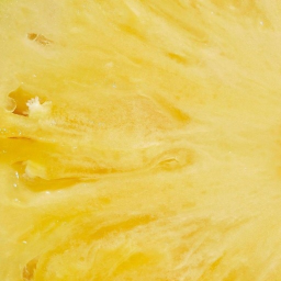 ⋆˚࿔