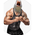 Rocky duck