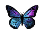 Galactic Butterfly