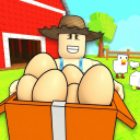 My Chicken Eggs