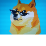 TeamDogz
