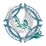 Stardust Duelist