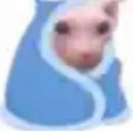 Derpz Nation