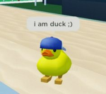 Servidor Do Duck